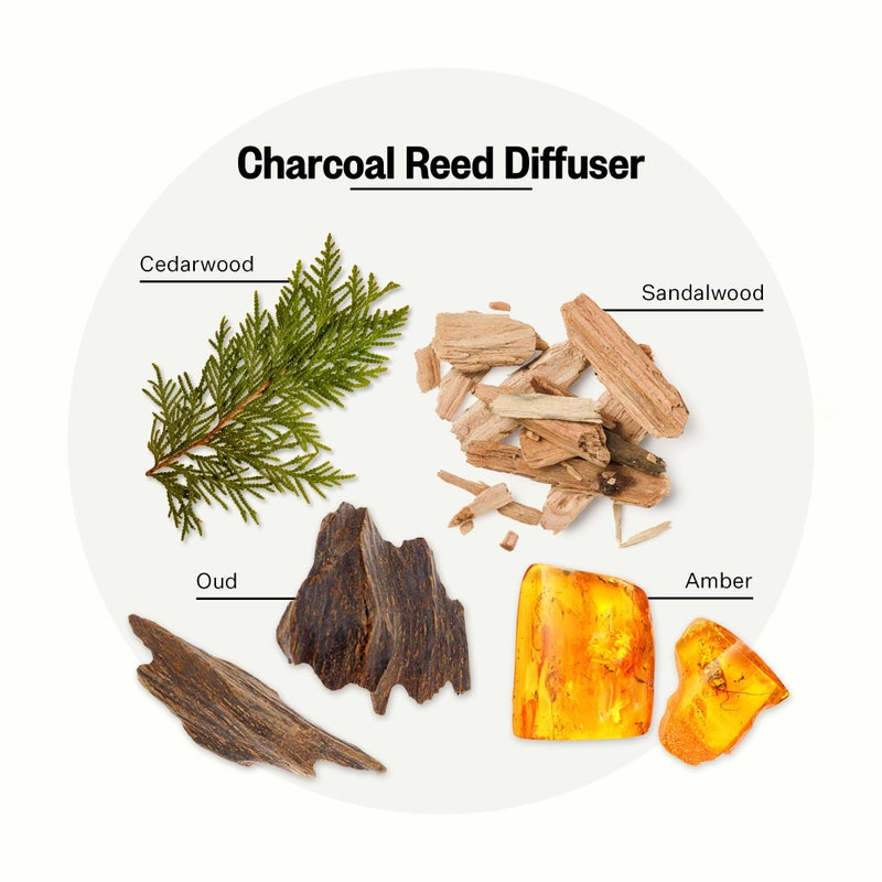 Apotheke Luxury Scented Reed Diffuser for Home, Charcoal - 6.7 Fl Oz Essential Oil Aromatherapy - 10 Rattan Scent Sticks Room Diffuser - Long-Lasting Fragrance for Bedroom, Home, Bathroom - Image 2